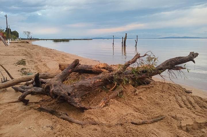 Chuvas deixam rastro de troncos e sedimentos nas orlas do Lago Guaíba; Barra do Ribeiro e Guaíba mobilizam equipes de limpeza