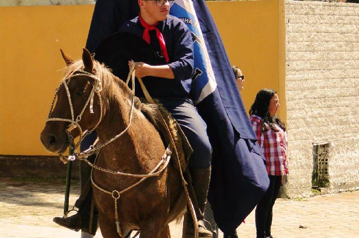 Galeria de Imagem