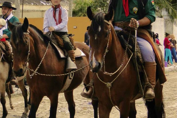 Galeria de Imagem