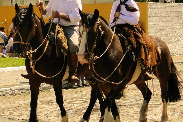 Galeria de Imagem