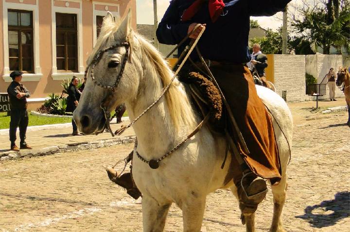 Galeria de Imagem
