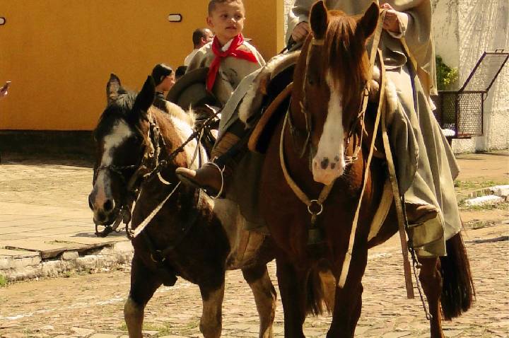 Galeria de Imagem