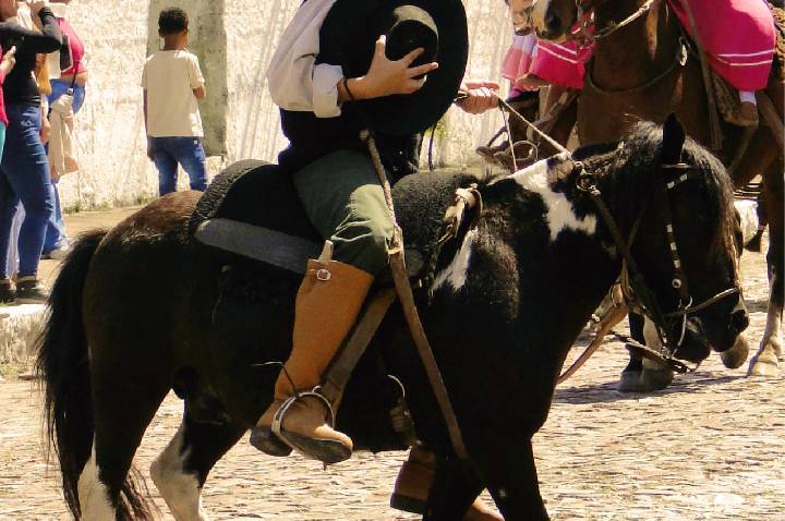 Galeria de Imagem