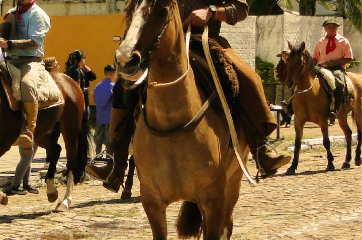 Galeria de Imagem