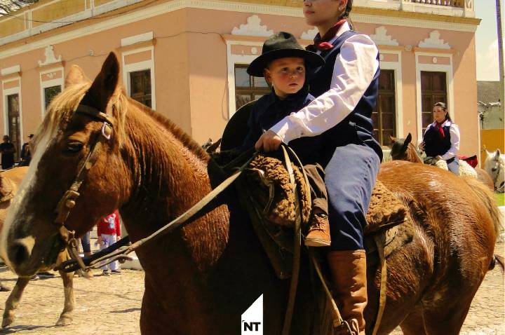 Galeria de Imagem