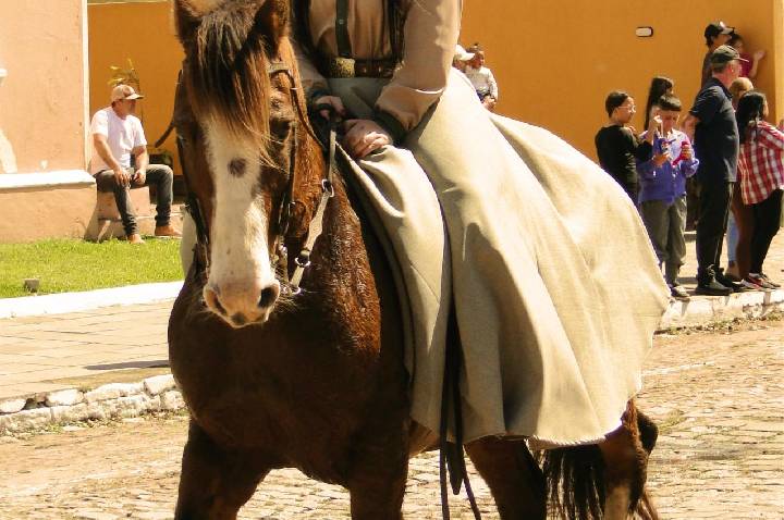 Galeria de Imagem