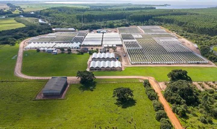 Liderança indígena de Barra do Ribeiro se manifesta sobre o licenciamento da CMPC