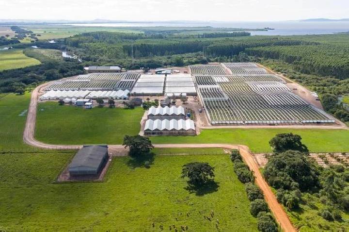 Liderança indígenas de Barra do Ribeiro se manifesta sobre o licenciamento da CMPC