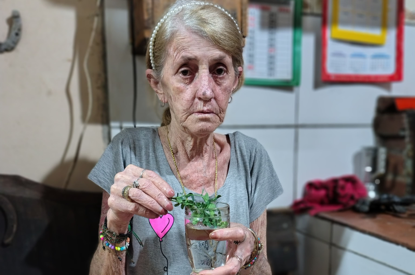 Ana Regina Baum Didio