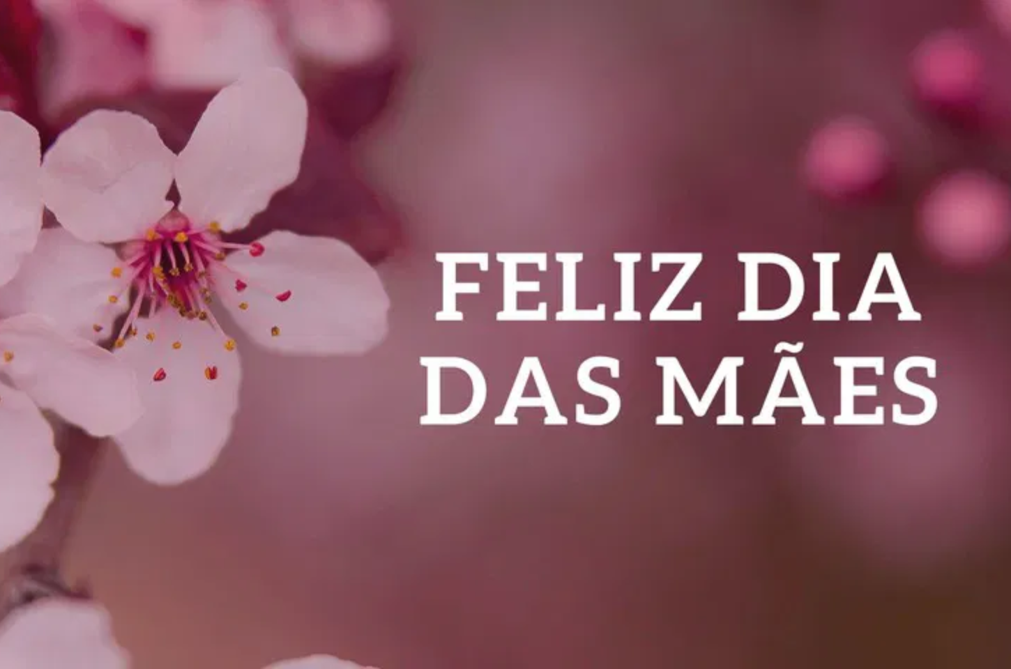 Mãe, um ser abençoado por Deus!